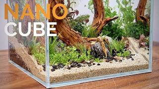 Making a Magical Nano Aquascape