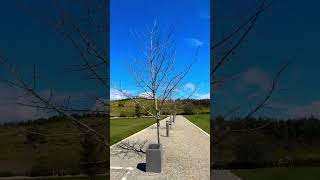 Trees that Prince William & Princess Kate Planted here Canberra Australia