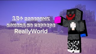 12+ полезных команд на сервере ReallyWorld!