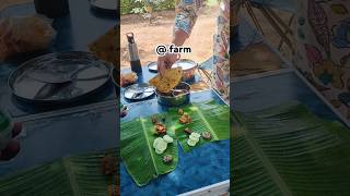 @ Farm# lunch #greenery #authenticfood #bringal #curry#lemon rice#chapati #banana leaf #minivlog #