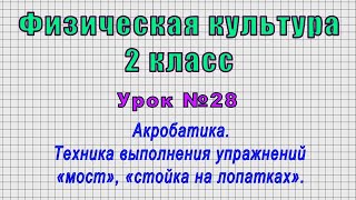 Физическая культура 2 класс (Урок№28 - Акробатика. Упражнения «мост», «стойка на лопатках».)