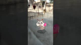 Rabbit 🐰 funny 🤣 dance # viral 🤣 video # trending 😍 short 🙏