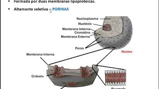 Citologia Vegetal - Parte 3