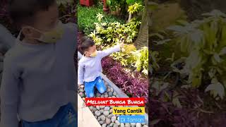 Melihat bunga bunga cantik di Taman#Shorts