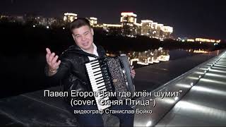 Павел Егоров- Там где клён шумит(cоver. Синяя Птица) видеограф Станислав Бойко