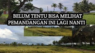 KEINDAHAN KOTA SINGKAWANG !! PEMANDANGAN YANG INDAH DI SISI LAIN KOTA SINGKAWANG