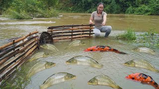 Girl Catching fish and trapping many fish during heavy rain in a natural flood stream.-fishing