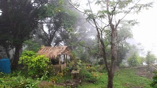 Off grid living| Planting WATER MELON and cooking TOMATOES with DRIED FISH (Tuyo)