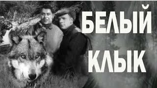 Белый клык (реж. Александр Згуриди 1946 г.)