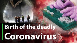 Birth of the Coronavirus | Where did the Coronavirus come from? | Was it Made in China