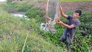 Gagal Panen Ikan Gara-gara Ul4r Menyebalkan!