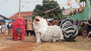 jaranan barongan kucingan Turonggo Mudo Linggar jati di bonbibit Hajimena Natar