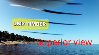 UMX TIMBER Superior view