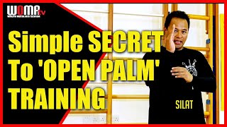 Simple SECRET To OPEN PALM TRAINING SILAT