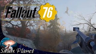 Забрел в опасные места ► Fallout 76 - B.E.T.A. тест -