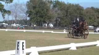 1-29-2015 Kent Brownridge Dressage