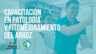 Impresiones de la CAPACITACIÓN en PATOLOGÍA y FITOMEJORAMIENTO del arroz🌾