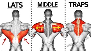 Back Workout with Dumbbells  (Effective Exercises)