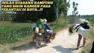 INILAH Suasana Kampung Yang Bikin Kangen Para Perantau Di Kota...!!!