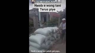 Nasib Petani Padi 2024 #ngenes #memes