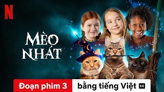 Mèo nhát (Mùa 1 Đoạn phim 3 có phụ đề) | Trailer bằng tiếng Việt | Netflix