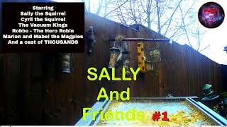 Sally and Friends #1