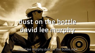 David Lee Murphy Dust on the Bottle karaoke songs karaoke lyrics