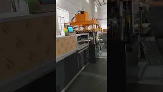 【ZHONGTUO】3D ceiling panel production line with punching and shaping