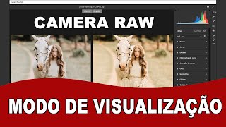 Como MUDAR o modo de VISUALIZAÇÃO (Antes e Depois) do CAMERA RAW do Photoshop