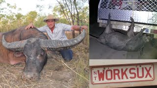 40 Hours to Catch the Biggest Wild Boar We Can! Part 4!