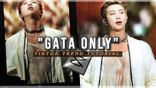 "Gata only" tiktok trend edit tutorial - capcut