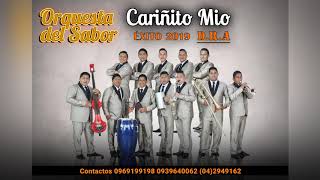 Cariñito Mio D.R.A Orquesta Del Sabor 2019