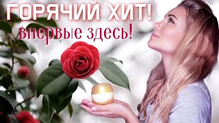 ЭТА ГРУППА РВЁТ ИНТЕРНЕТ! ГОРЯЧАЯ НОВИНКА! DoReDoS