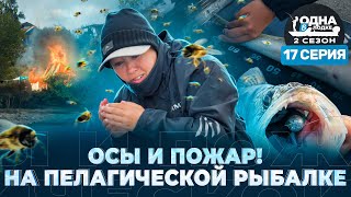 ПЕЛАГИЧЕСКИЙ СУДАК В КАЗАНИ | КАК ЛОВИТЬ РЫБУ В ТОЛЩЕ ВОДЫ | «Одна в лодке» | 2 сезон | 17 серия