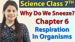 Why Do We Sneeze? Chapter 6 - Respiration in Organisms - Science Class 7th NCERT