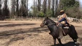 Trabajando Pedro Donoso C. al Paicavi Carcomido