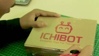 [Teaser] ICHIDUINO Basic. Cuma 600k sudah dapat Robot, Battery dan Source Code !!!