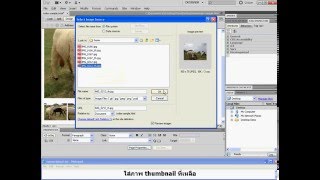 ทำ Swap Image ด้วย Dreamweaver CS5