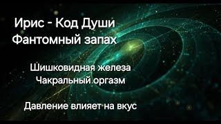 12 чакр. Телепатия с самим собой. Манадический триггер. Шлейф Судьбы. Женщина и мозг. Fraktale.