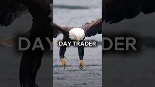 Cualidades que tiene el águila 🦅 muy similares a un day trader