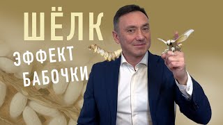 ШЕЛК, КАК ЕГО ПОЛУЧАЮТ ИЛИ ЭФФЕКТ БАБОЧКИ