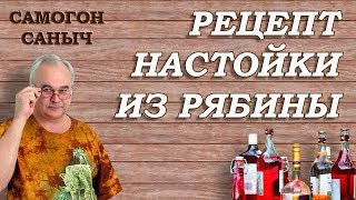 Настойка из рябины / Рецепты настоек / Самогон Саныч