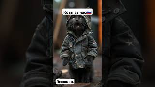 военные коты за нас! #война #победа