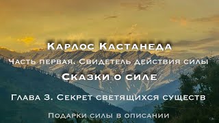 Карлос Кастанеда. Сказки о Силе. Глава 3. Секрет светящихся существ #кастанеда #путьвоина  #дух