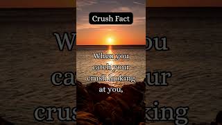 Crush Facts