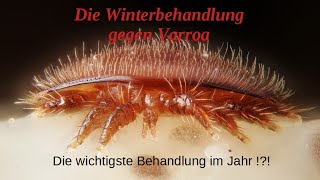 Varroa Winterbehandlung, die wichtigste Behandlung im Jahr?