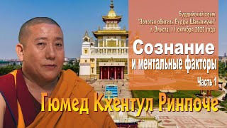 Гюмед Кхентул Ринпоче. Сознание и ментальные факторы. Занятие 1