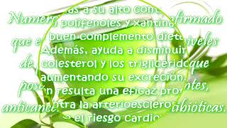 Té verde - Té verde beneficios