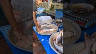 Leaps of giant pangas fish #youtubeshorts #shortvideo #fish #fishmarket #fisherman