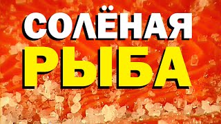 Галилео. Соленая рыба